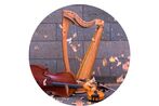 Michelle Doyle Harpist